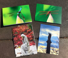 Load image into Gallery viewer, Assortment Of Cemetery Angel And Vibrant Color Dragonfly Fine Photography Art Note Cards
