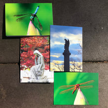 Load image into Gallery viewer, Assortment Of Cemetery Angel And Vibrant Color Dragonfly Fine Photography Art Note Cards
