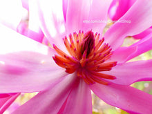 Load image into Gallery viewer, Mini Southwest Inspired Ceramic Sugar Skull Art, Dia de Los Muertos Calavera de Ofrenda, Ceramic Day of the Dead Sugar Skull, Hand Painted Art
