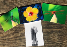 Load image into Gallery viewer, Assortment Of Cemetery Angel, Flowers And Dragonfly Fine Photography Art Note Cards
