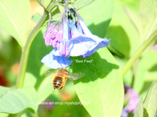 Load image into Gallery viewer, Summer and Fall Photography Blank Note Cards With Envelopes, Any Occassion Blank Note Cards
