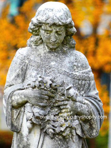 Send your loved one a special message of sympathy with this Cemetery Angel Sympathy Card. The card features a beautiful photograph of a cemetery angel statue with vibrant yellow fall foliage in the background. Perfect for any occasion to let someone know you care.